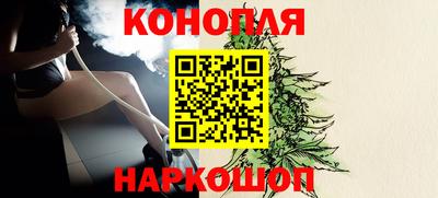 гидра Бийск