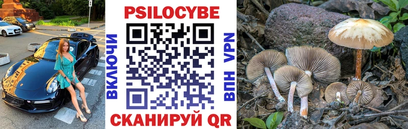 хочу   Кунгур  Галлюциногенные грибы мицелий 