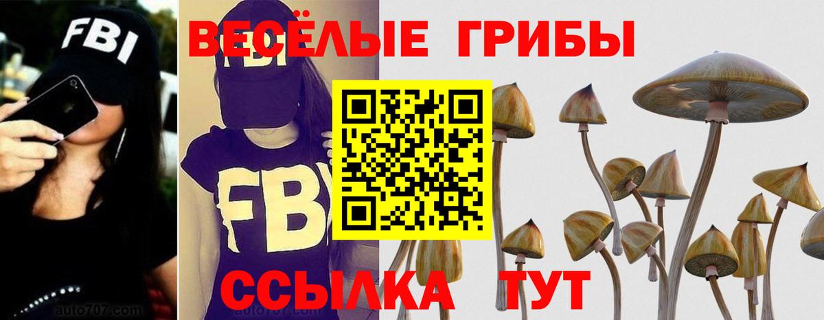 Кунгур  Псилоцибиновые грибы ЛСД  Вход с VPN 